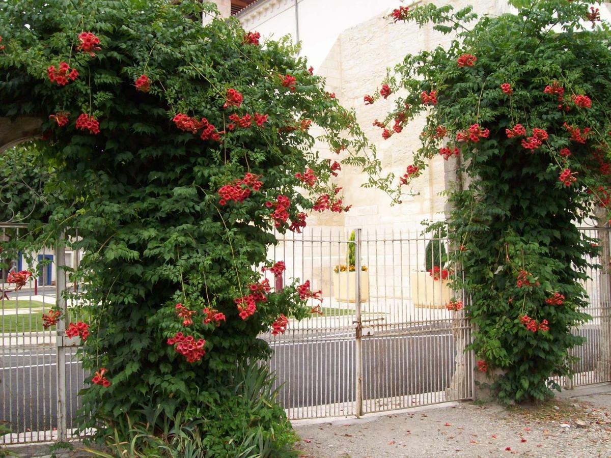 Château La Gentilhommière du Puits Notre-Dame 30 rue de l'église 24110 Saint Léon sur l'Isle Exterior foto
